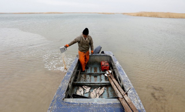 В Аральское море вернулась вода: как возрождают солёное озеро в Казахстане
