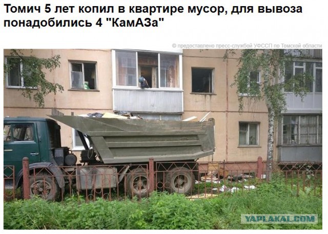 В логове настоящих свиней