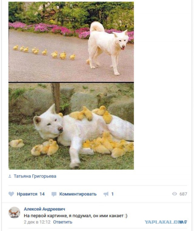 Чёрненькая деградация к выходным. Ура!