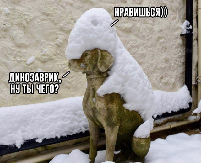 Подборка интересных и веселых картинок