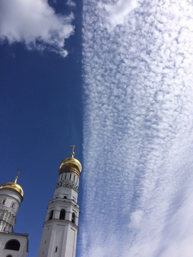 Подборка интересных и веселых картинок