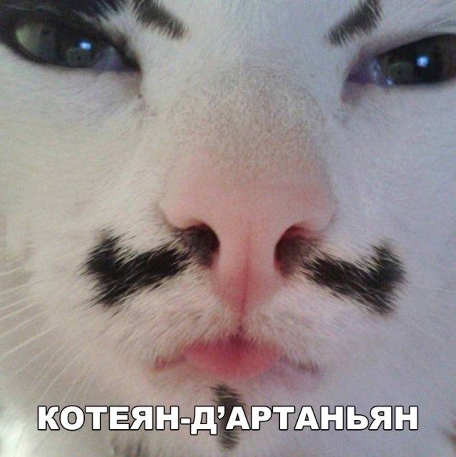 Нестандартный юмор