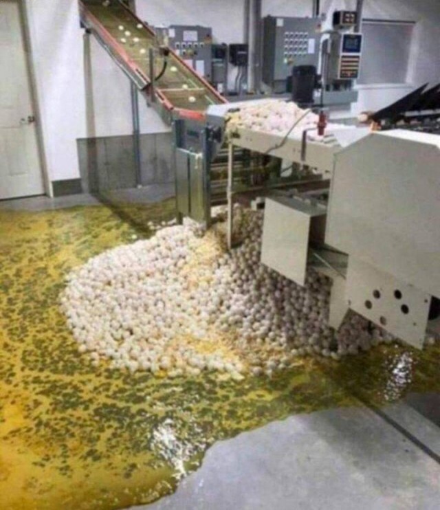 Бывают в жизни огорчения...