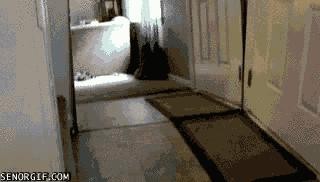 Котэ в шоке.