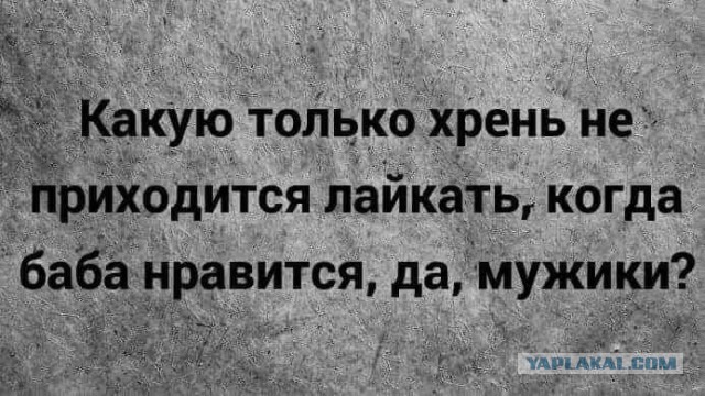 Картинки с надписями, истории и анекдоты 08.10.19