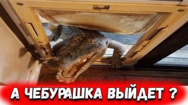 Чёрная мешанина