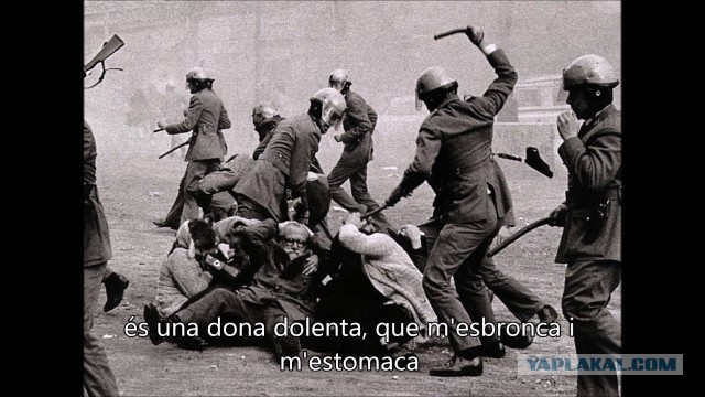 По последним событиям в Беларуси, почему меня коробит от некоторых своих сограждан россиян