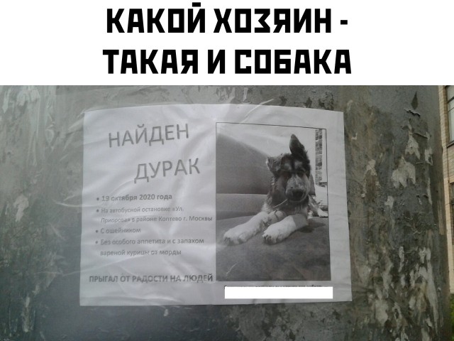 Бредзона 21.10.20