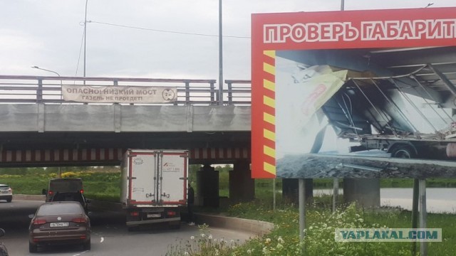 Ну вот и 200-ый герой моста глупости