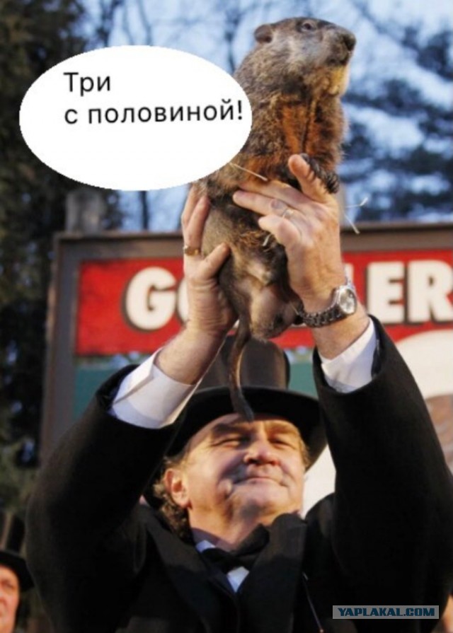 ⚡️ Суд приговорил Алексея Навального к 3,5 годам лишения свободы в исправительной колонии общего режима