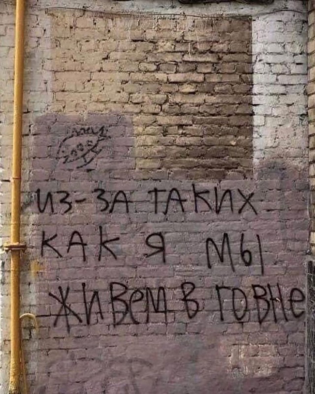 Картинки и мемы для настроения 016