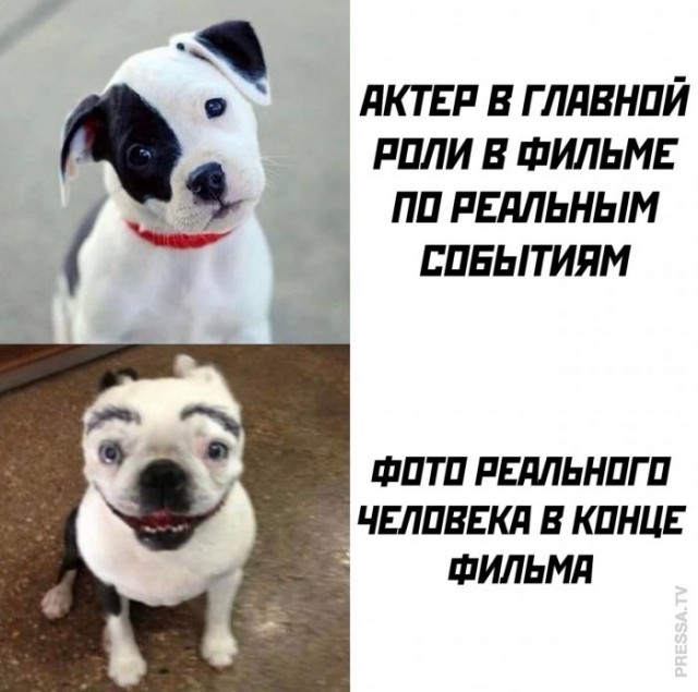 Картинки и мемы для настроения