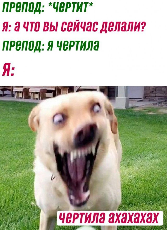 Весёлый полтишок 04.10