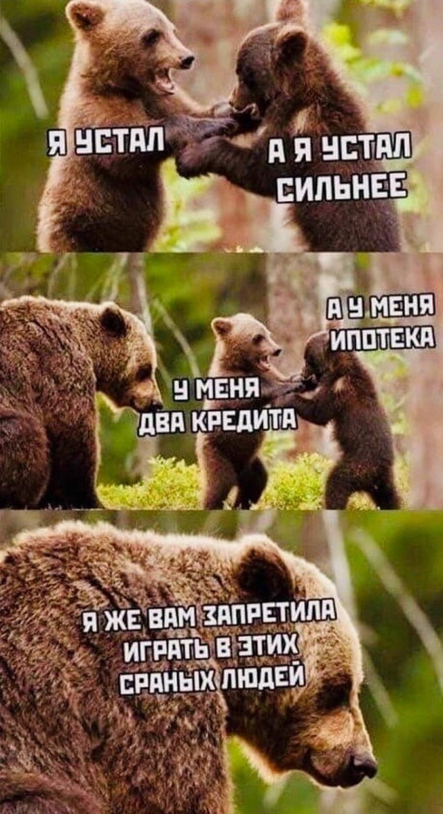 Картинки и мемы для настроения 06.10.2021