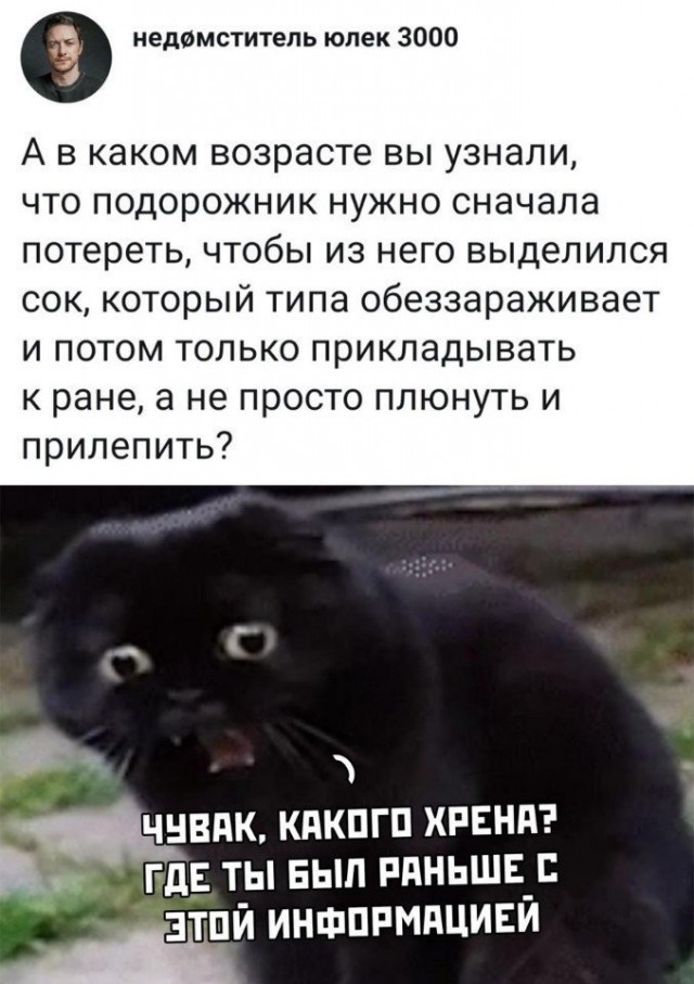 Так себе картинки 22.10.21