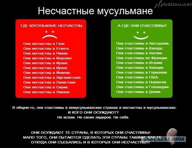 Избитого толпой в Новой Москве отца с ребенком «делают» зачинщиком драки