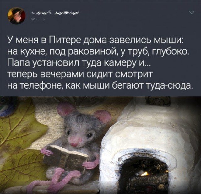 Картинки и мемы для настроения 13.12.2021