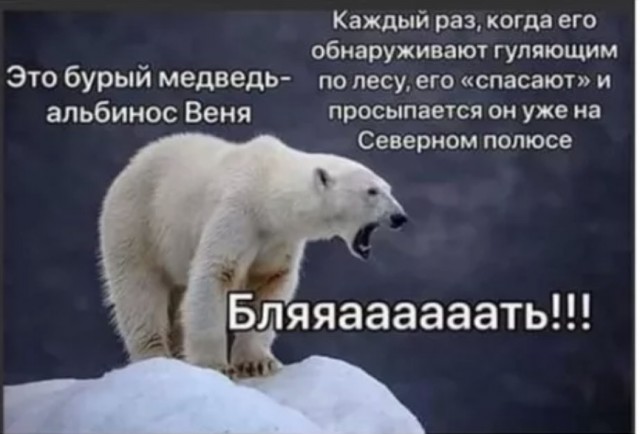Жизнь помотала