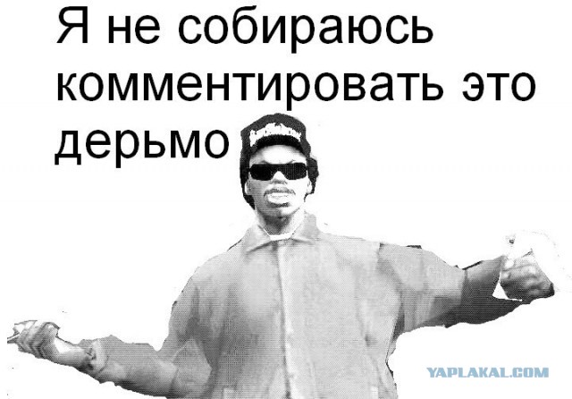 Гниющие животные вперемешку с живыми: в Воронеже вскрыли смердящую квартиру