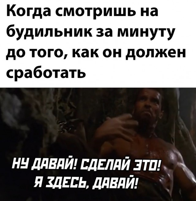 Весёлый полтишок 20.01