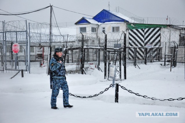 Жители всех регионов получили право на бесплатный гектар земли в Арктике