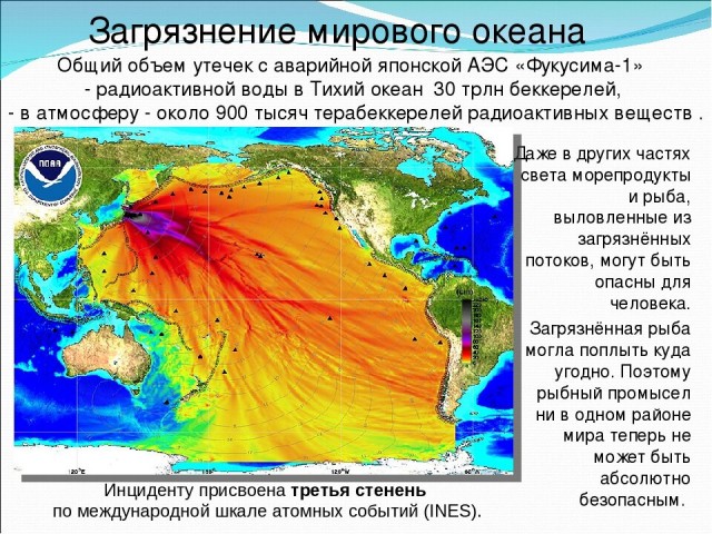 Внутри ядерного реактора Фукусима