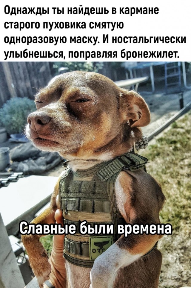 Так себе картинки 05.04.22