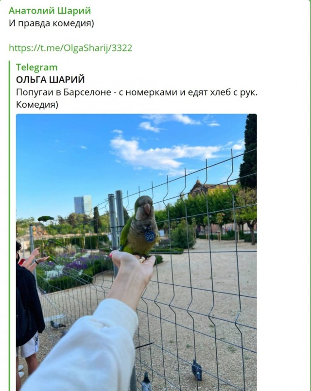 Пандемия. Коронавирус и съехавшие крыши. Россия и мир. Часть 34.