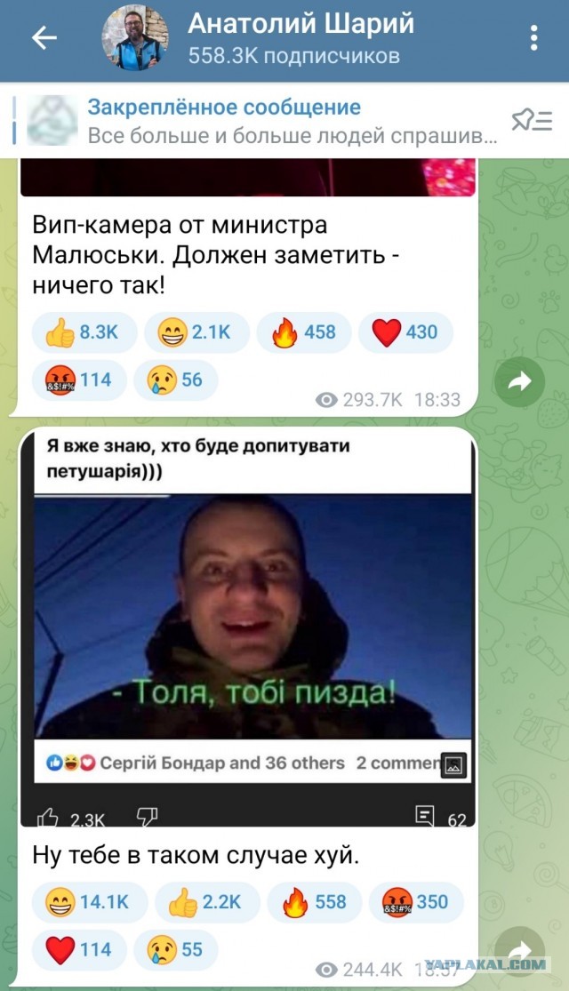 Безмолвный комментарий жены Шария