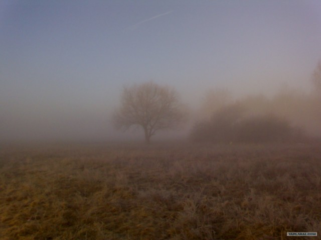 Сплав по Десне, сентябрь 2011