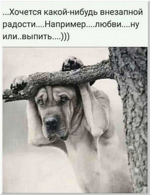 Картинки и мемы для настроения - 14