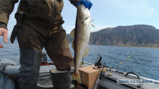 Кунашир. Море. Рыбалка
