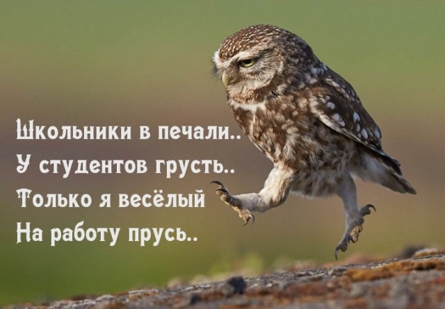 Так себе картинки 21.05.22