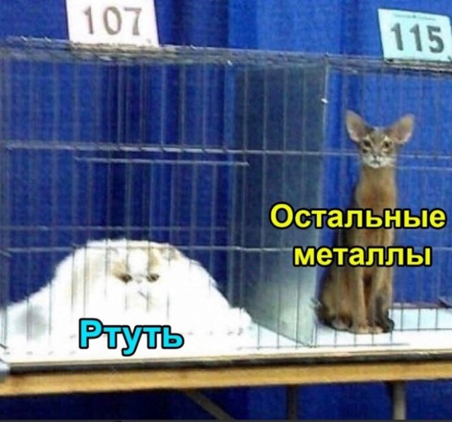 Так себе картинки 25.05.22