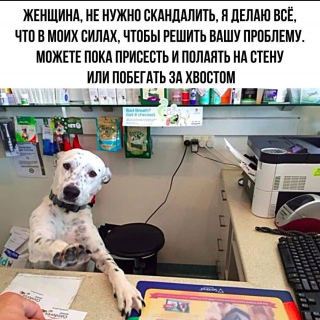 Картинки аморальные и всякие разные - 31