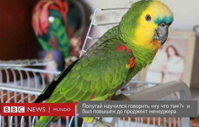 Картинки аморальные и всякие разные - 32