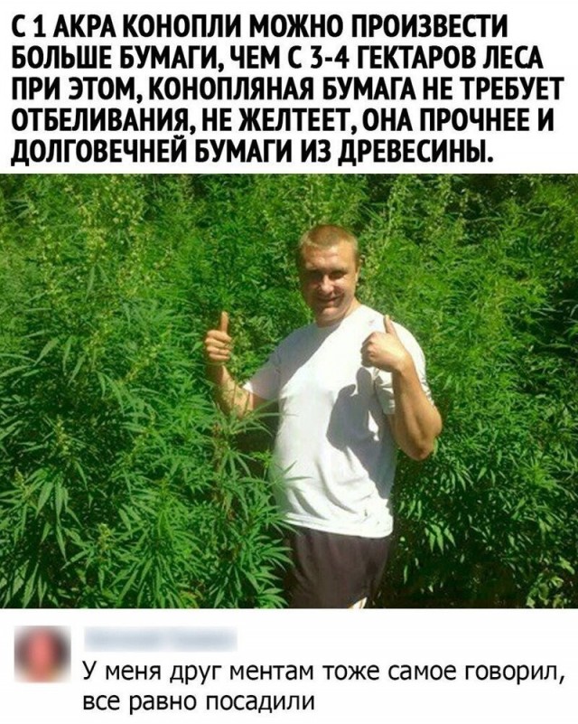 Забавные комментарии из Сети 19.06.22