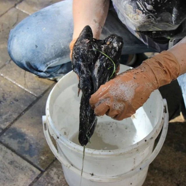 В Подмосковье третий день пытаются очистить реку Лобня от вязкой химической жидкости, убивающей птиц