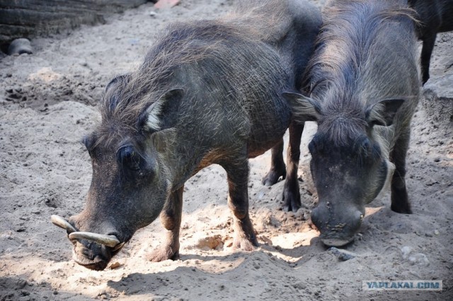 Мой Евротур