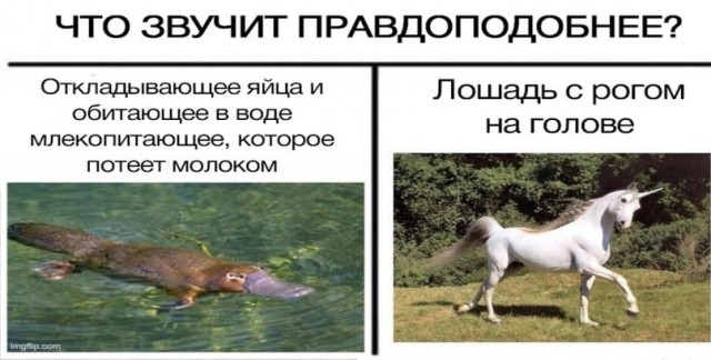 Новый ЗОЖ