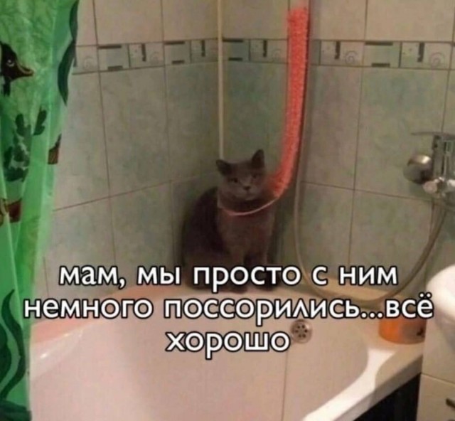 Немного мемчиков. Для взрослых. Часть 15