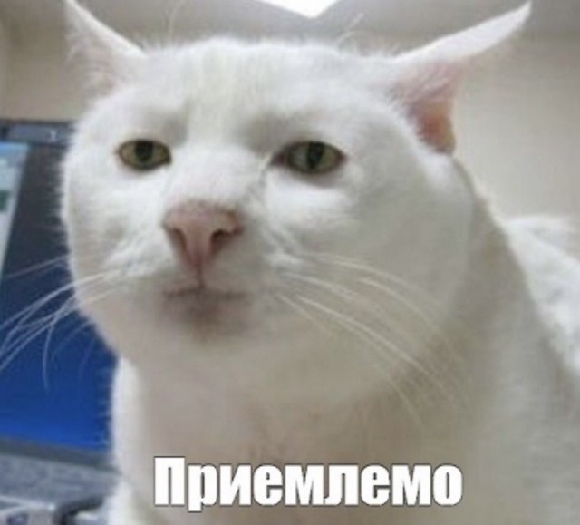 "А это случайно не ваша собачка?"