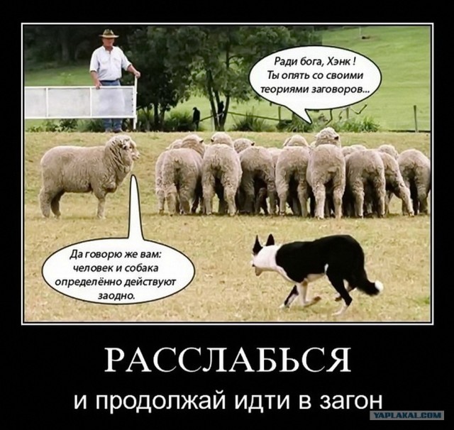 Пандемия съехавших крыш - разновидности болезни. Россия и мир. Часть 45.