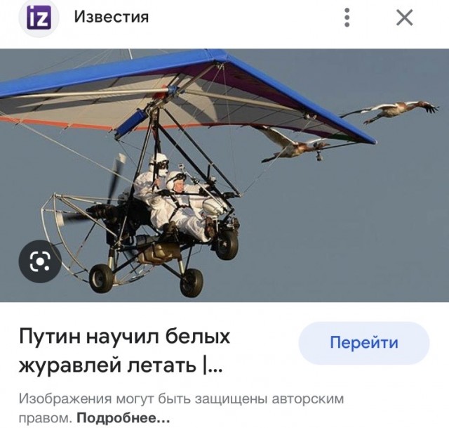 Дичь какая-то