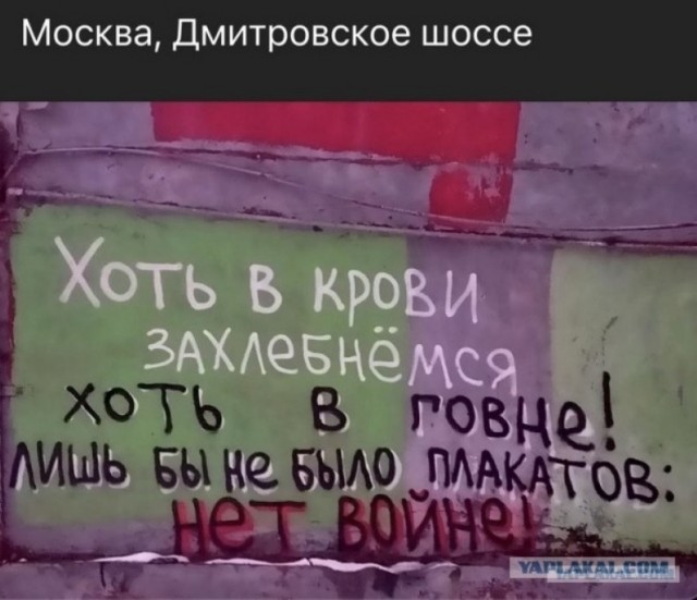Победная поступь идиотизма по планете.