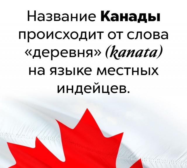 Немного бесполезных фактов