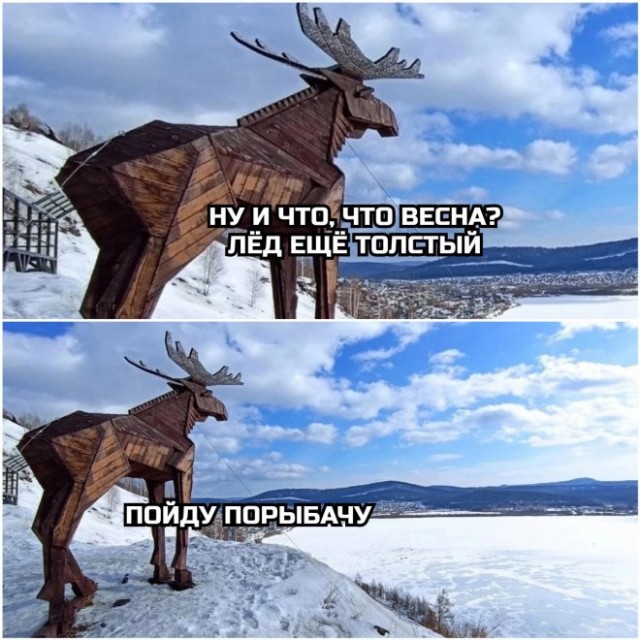 Картинки и мемы, всем хороших выходных