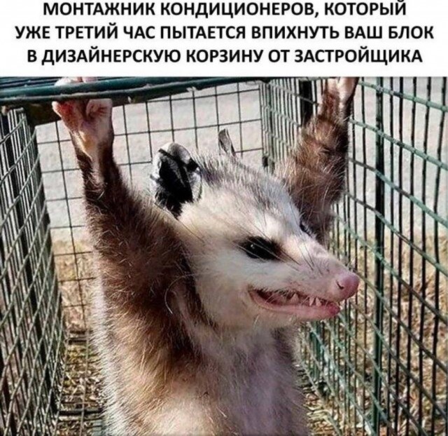 Так себе картинки 30.03.23