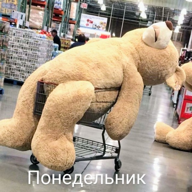 Немного картинок для настроения - 161