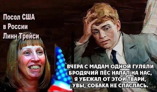 Свержение Януковича в 2014 году — это не госпереворот — заявила новый посол США в России